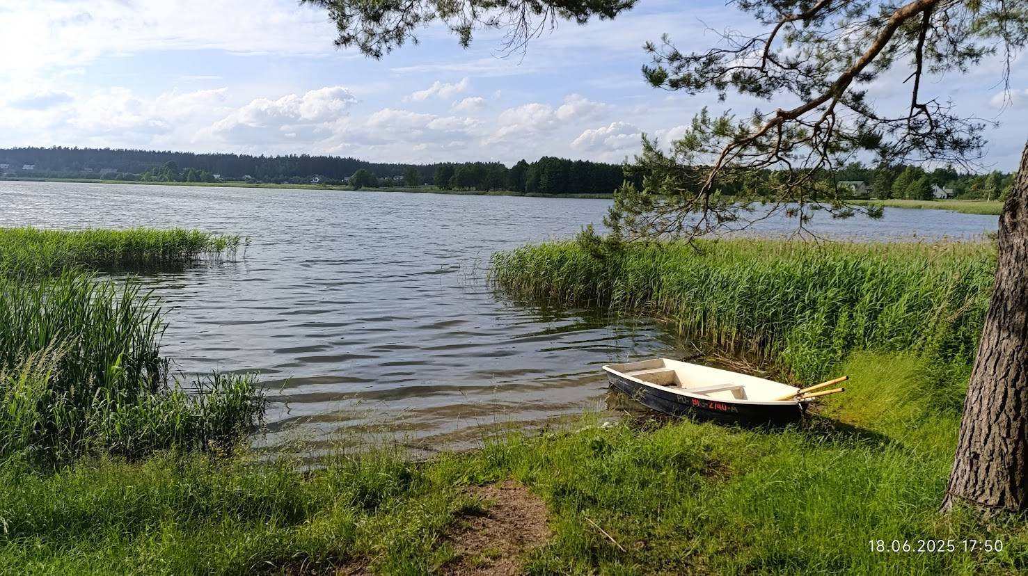 Zdjęcie 4