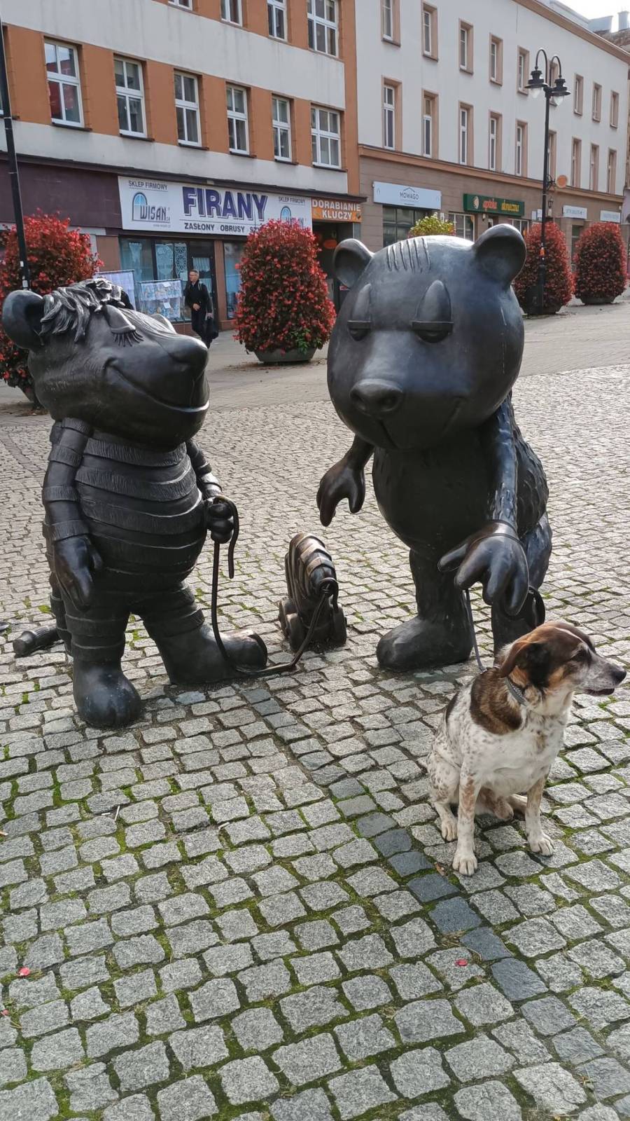 Zdjęcie 3