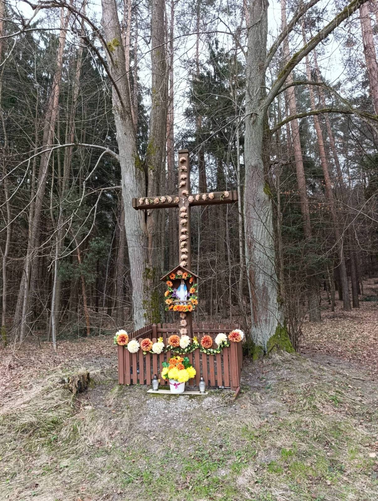 Zdjęcie 3