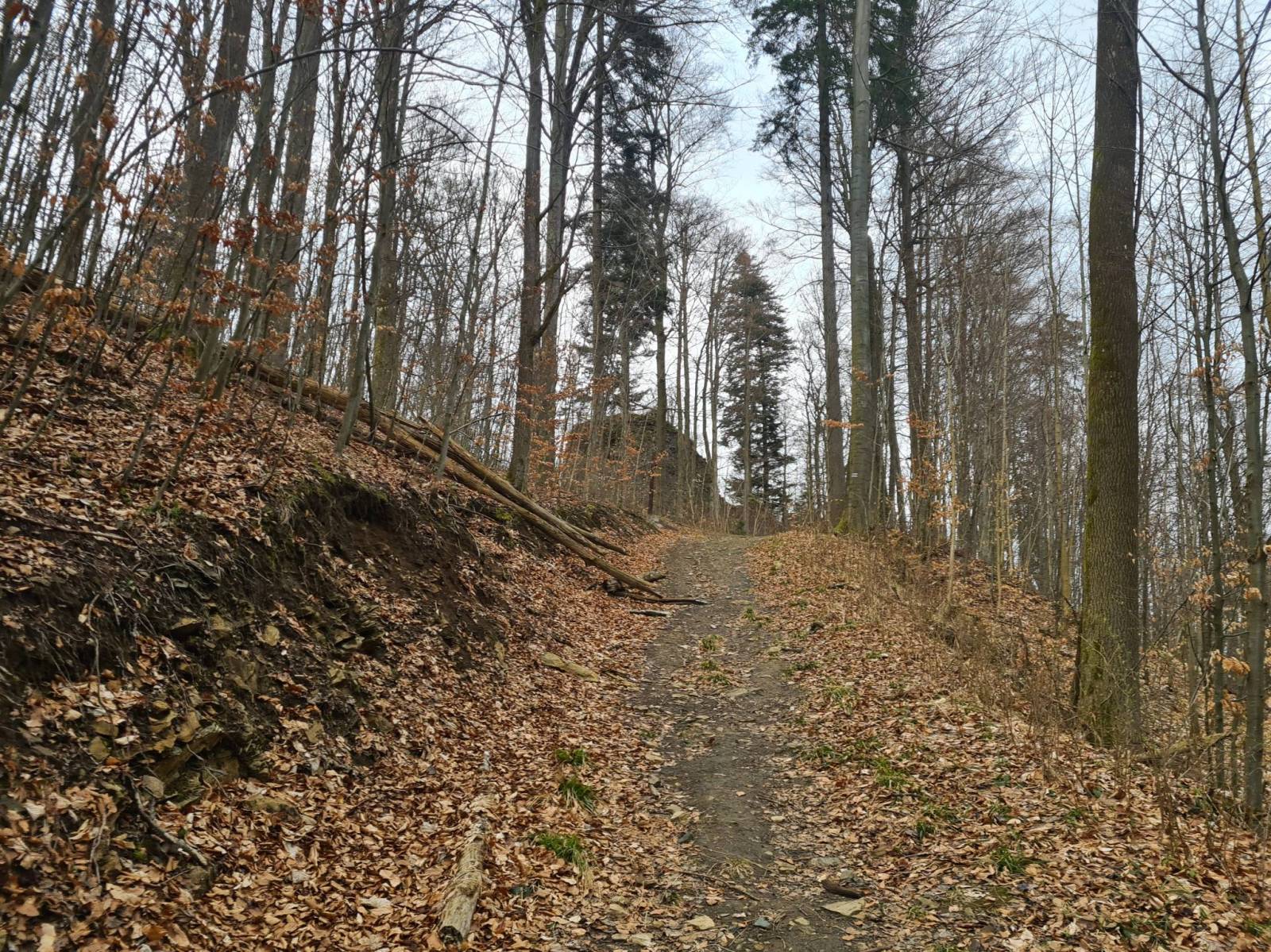 Zdjęcie 5