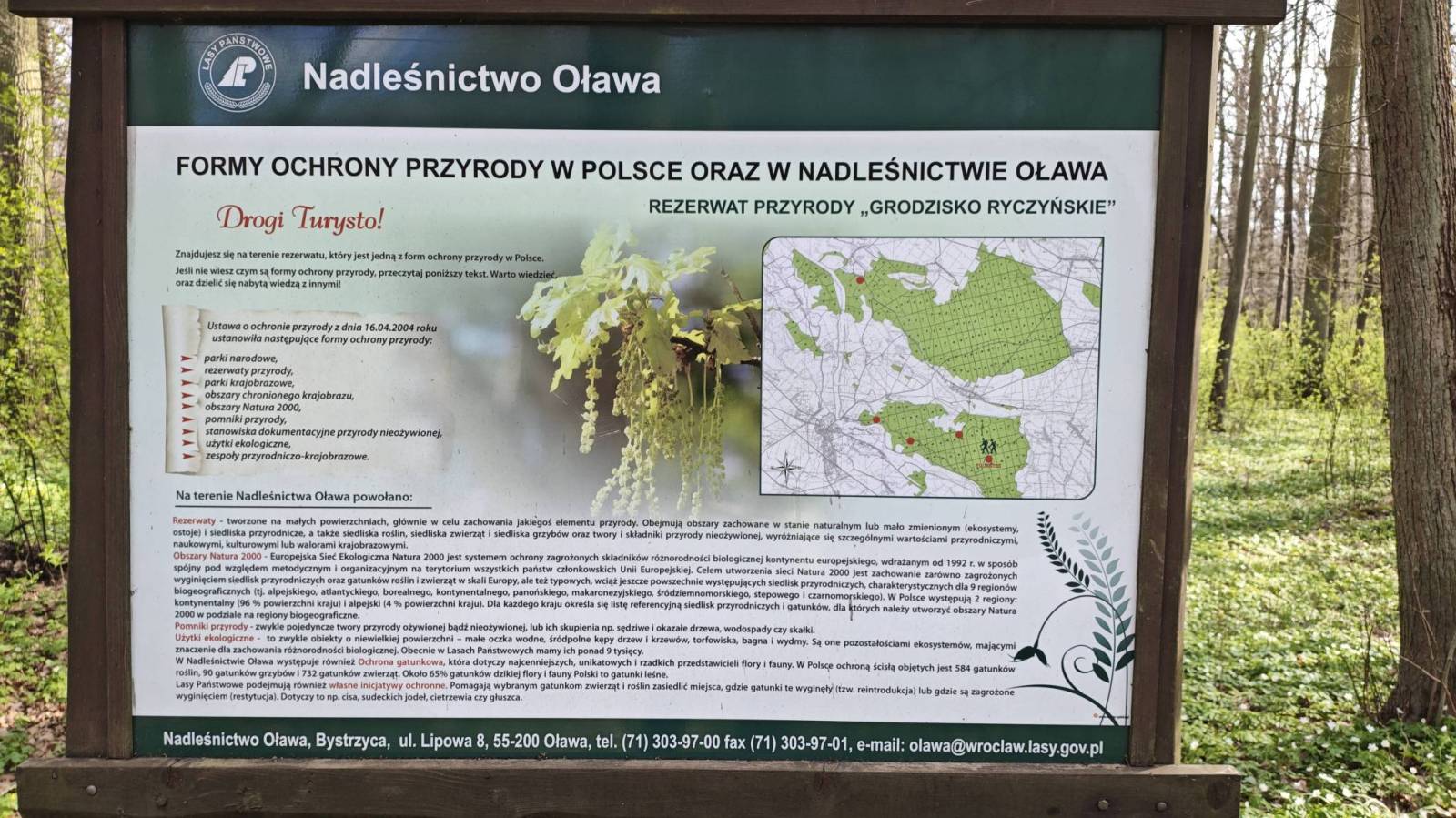 Zdjęcie 1
