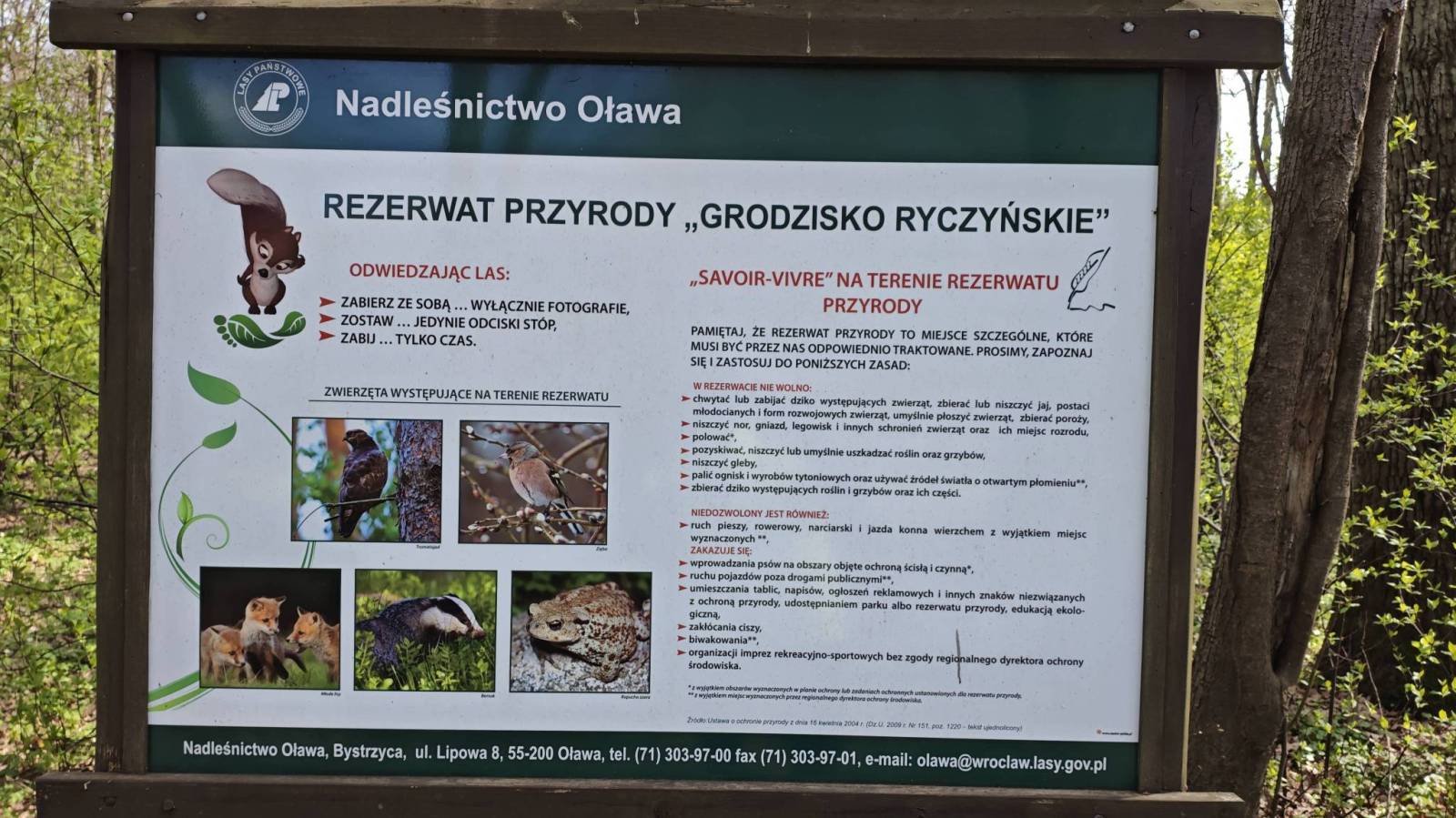 Zdjęcie 2