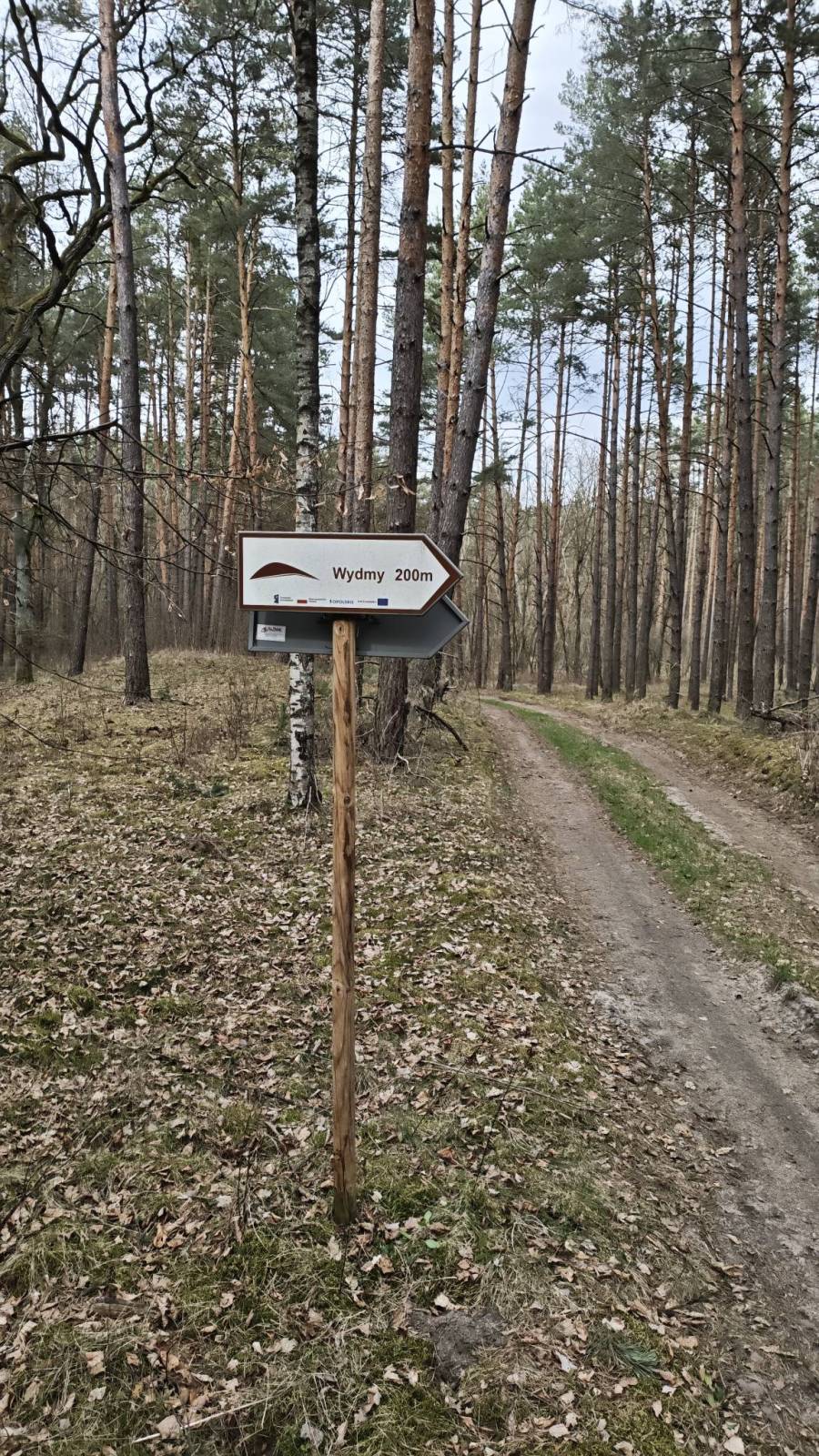Zdjęcie 6