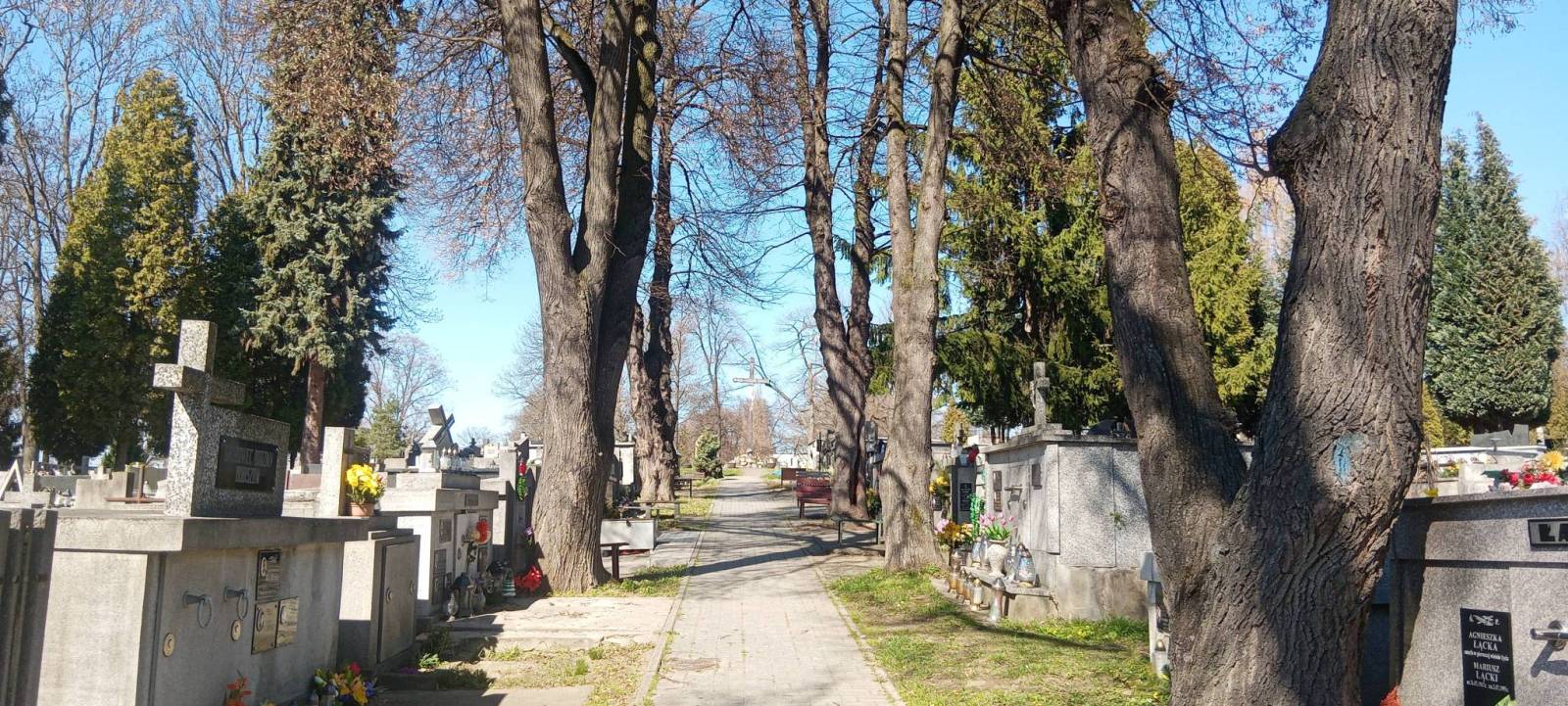Zdjęcie 2