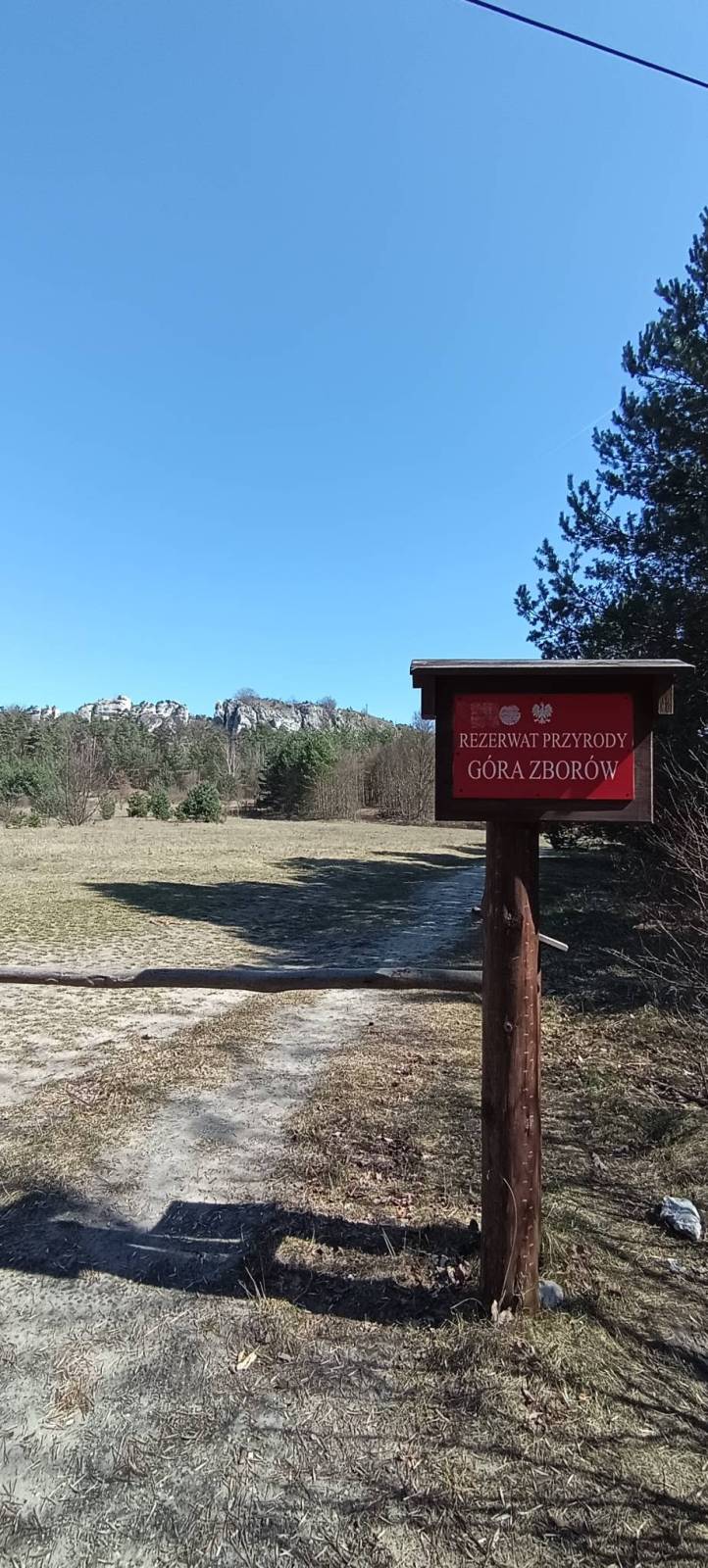 Zdjęcie 4