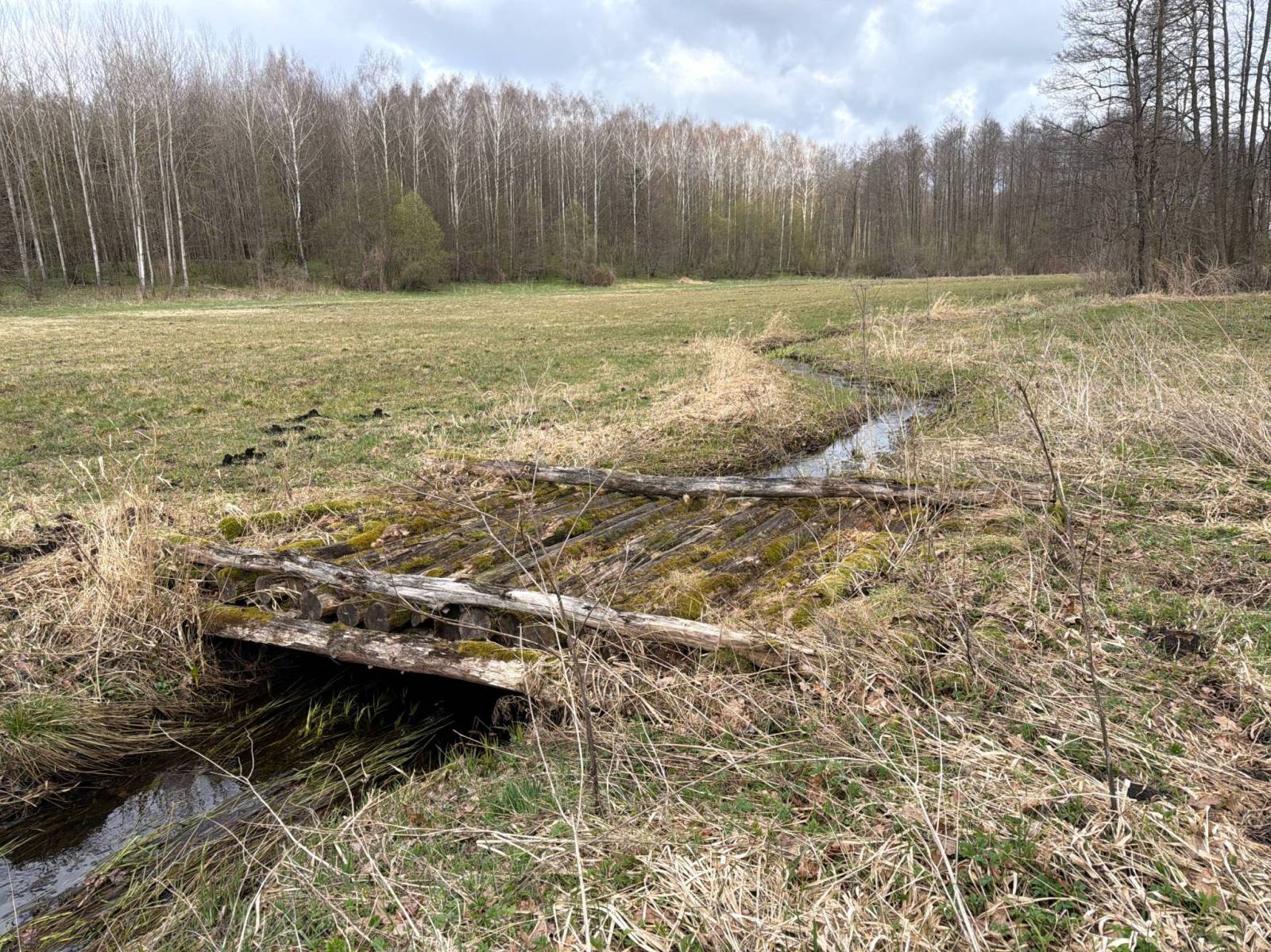 Zdjęcie 3