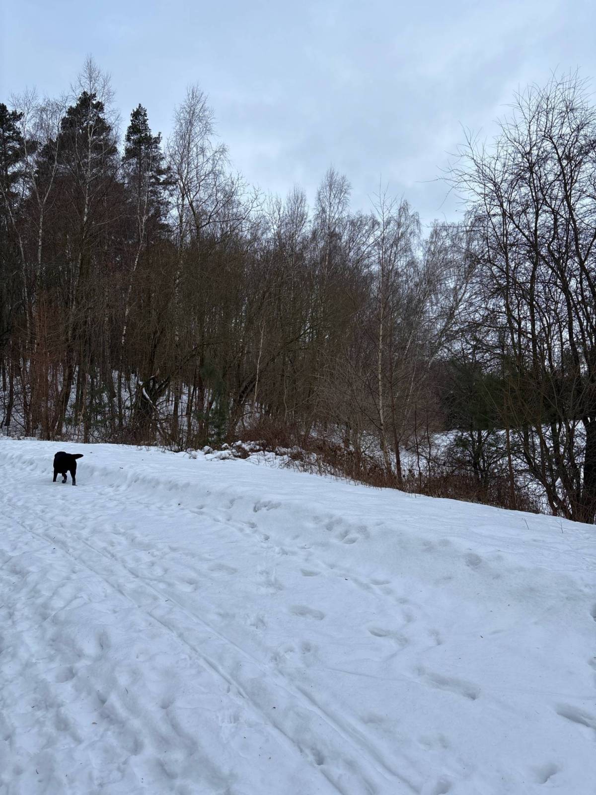 Zdjęcie 2