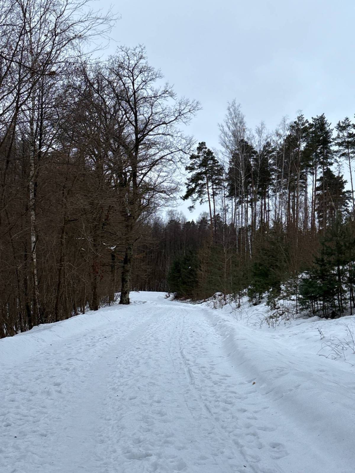 Zdjęcie 3