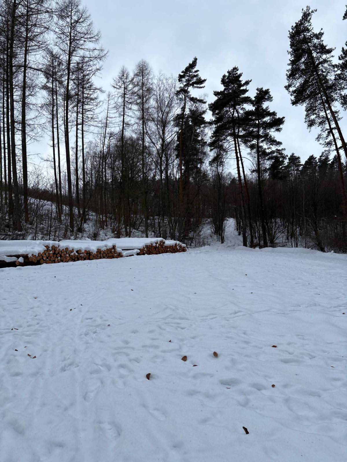 Zdjęcie 4