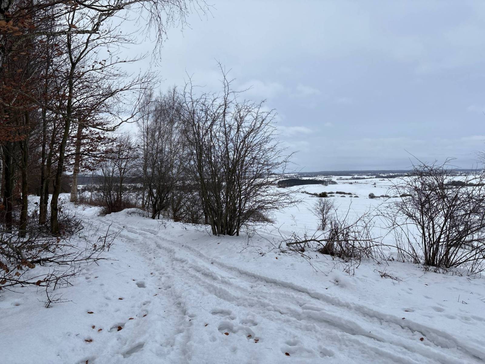 Zdjęcie 6