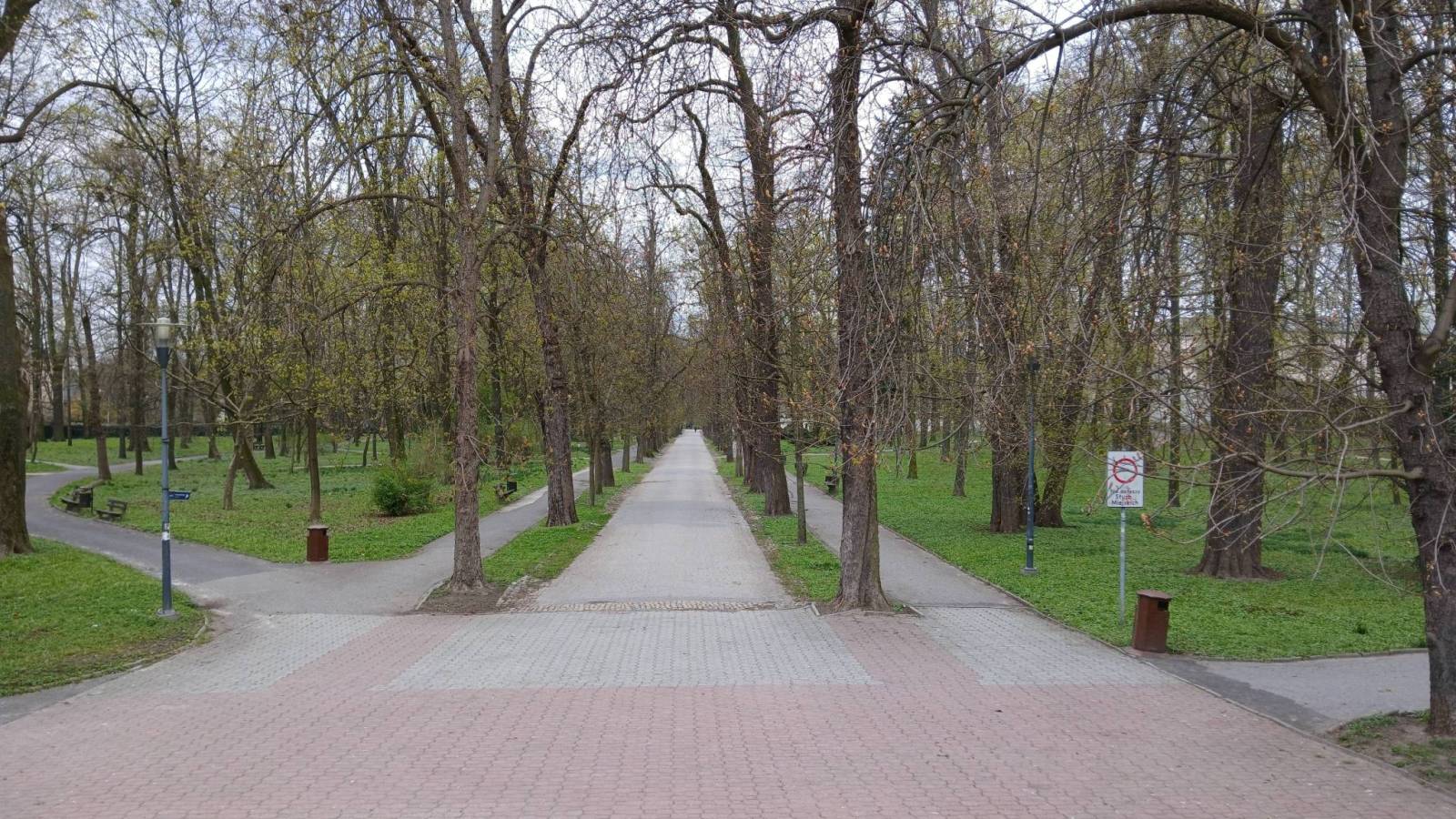 Zdjęcie 3