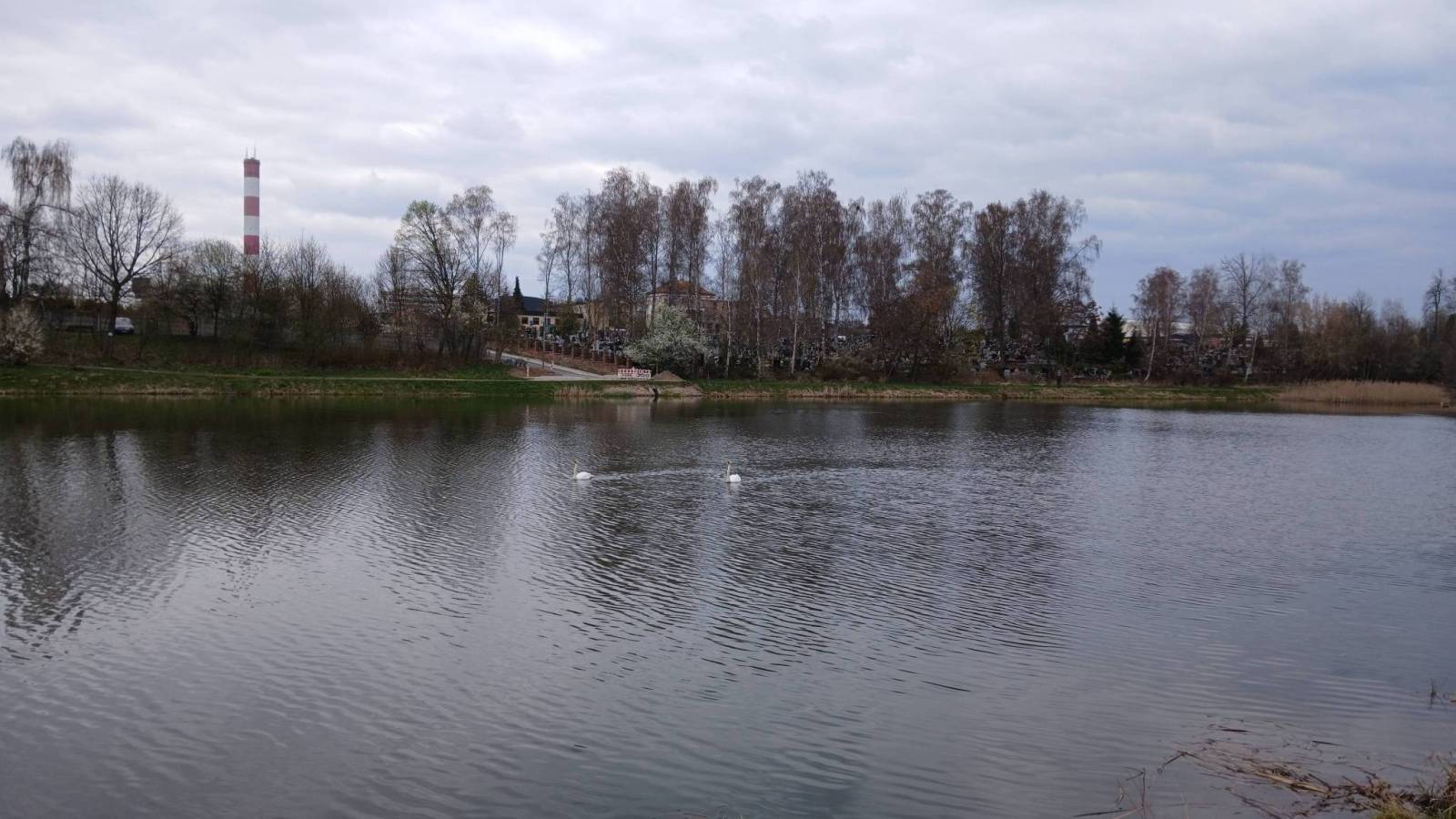 Zdjęcie 6