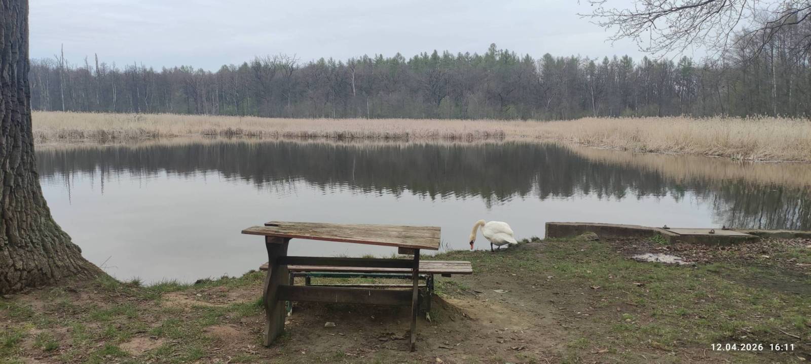 Zdjęcie 2