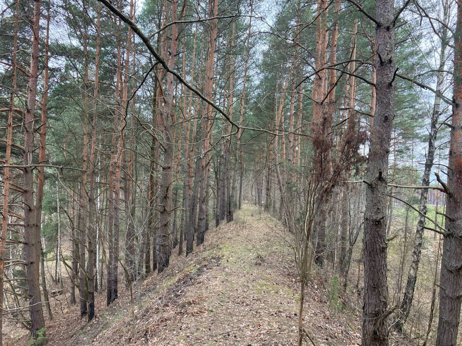 Zdjęcie 3
