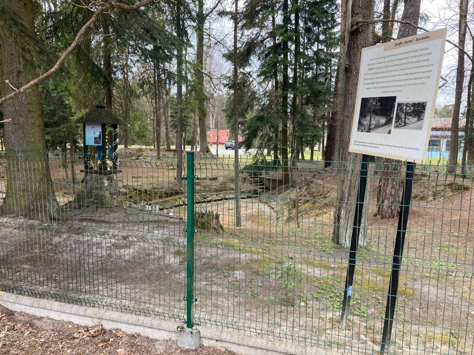 Zdjęcie 4