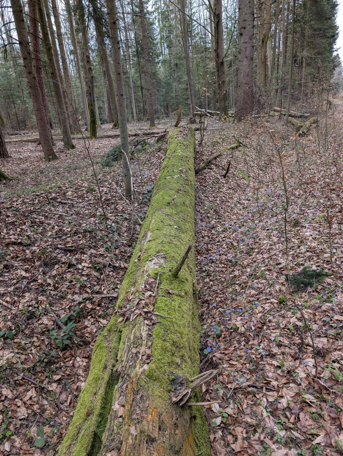 Zdjęcie 3