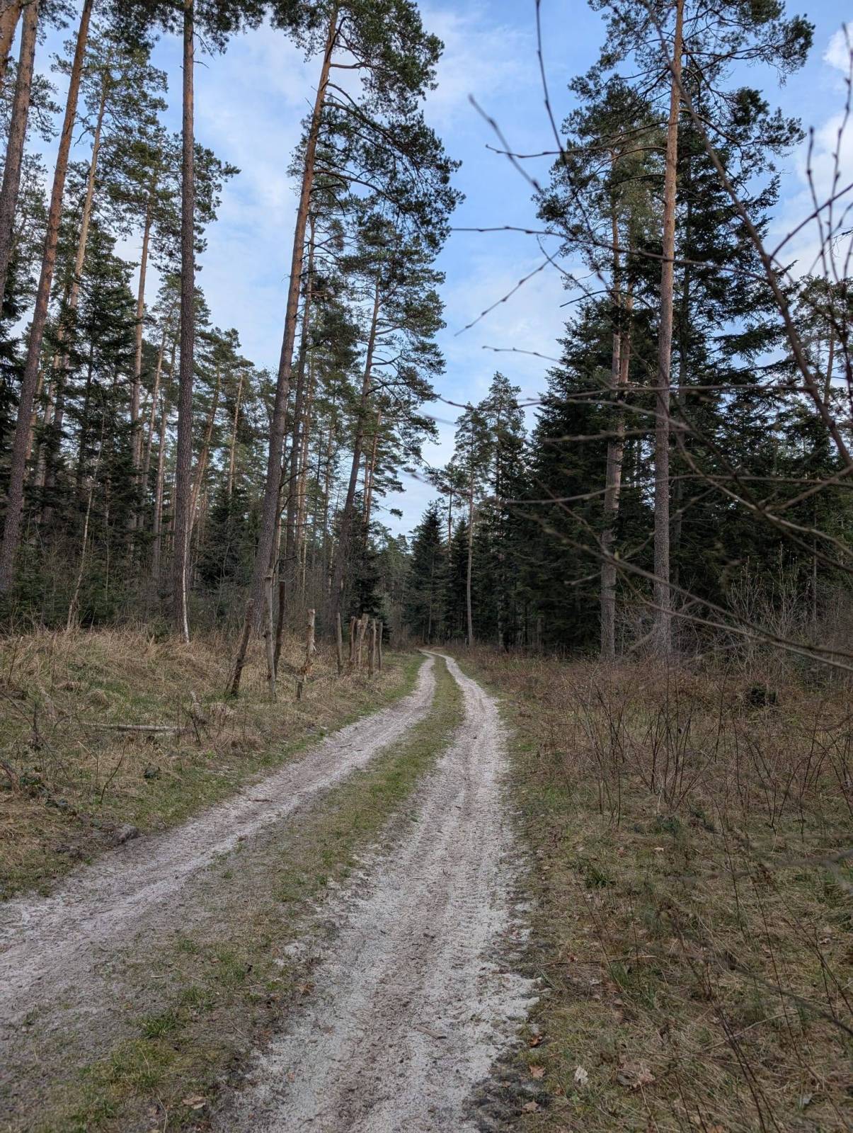 Zdjęcie 4