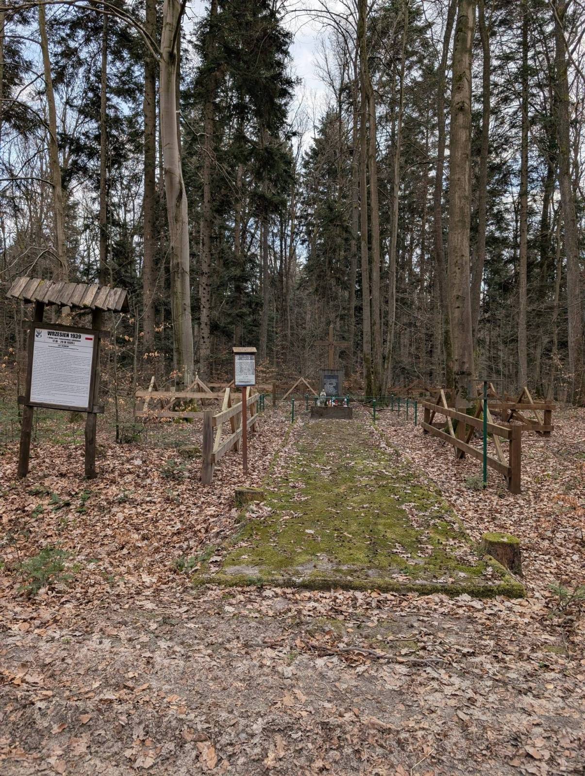 Zdjęcie 6
