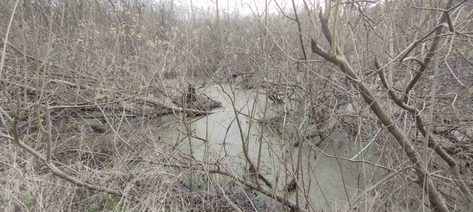 Zdjęcie 6