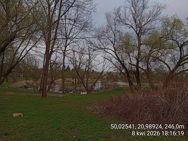 thumb-image