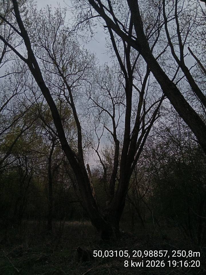 Zdjęcie 2
