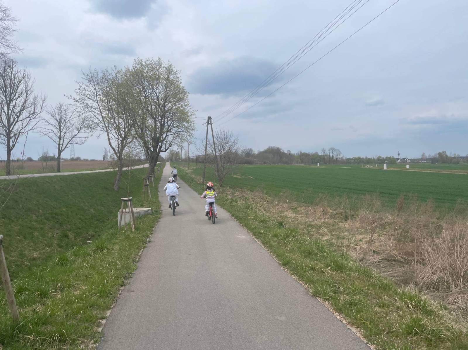Zdjęcie 5