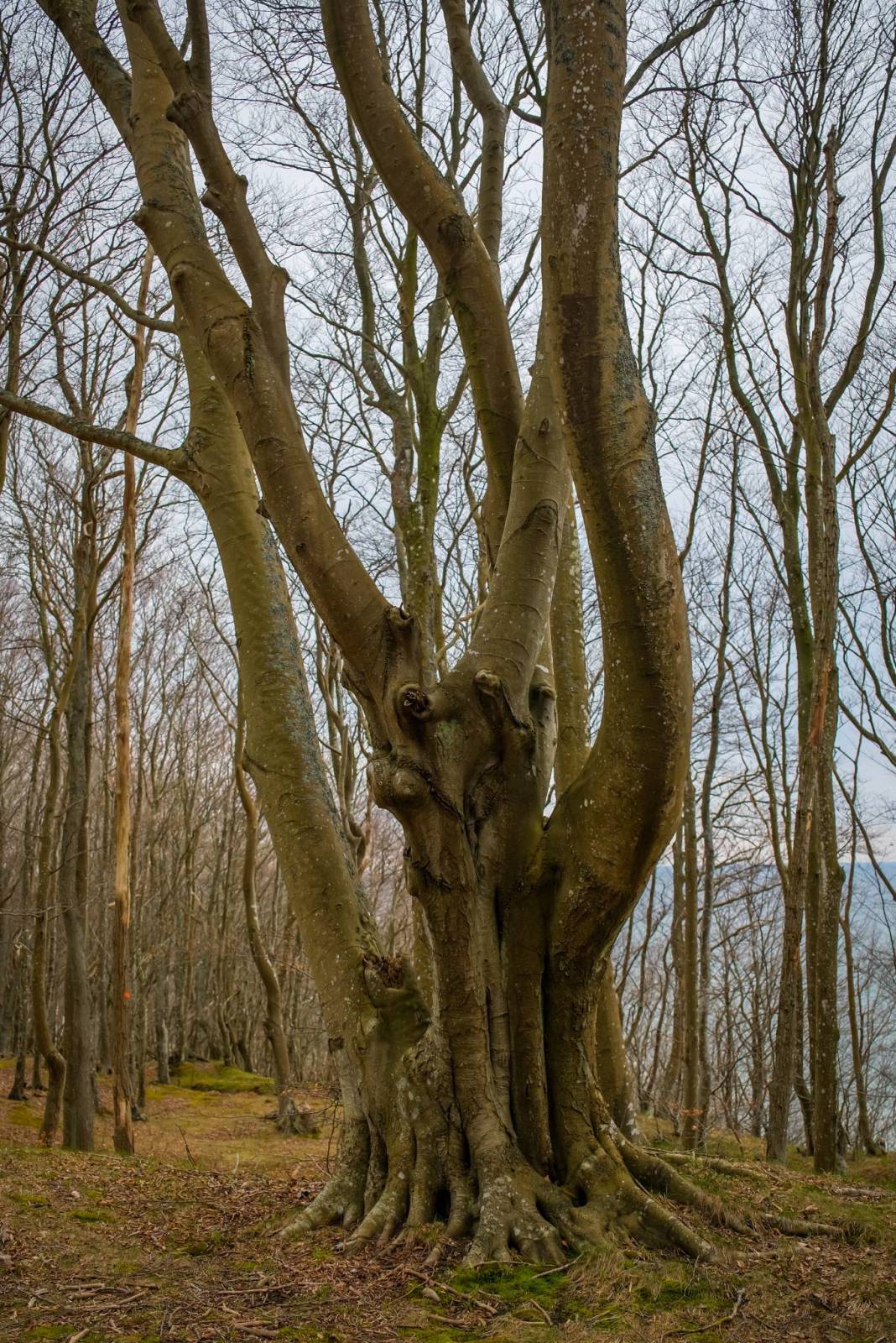 Zdjęcie 5