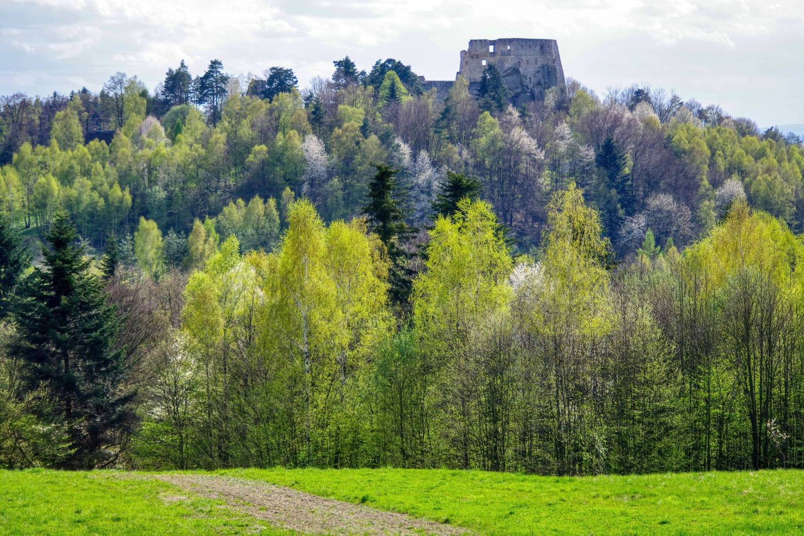 Zdjęcie 3