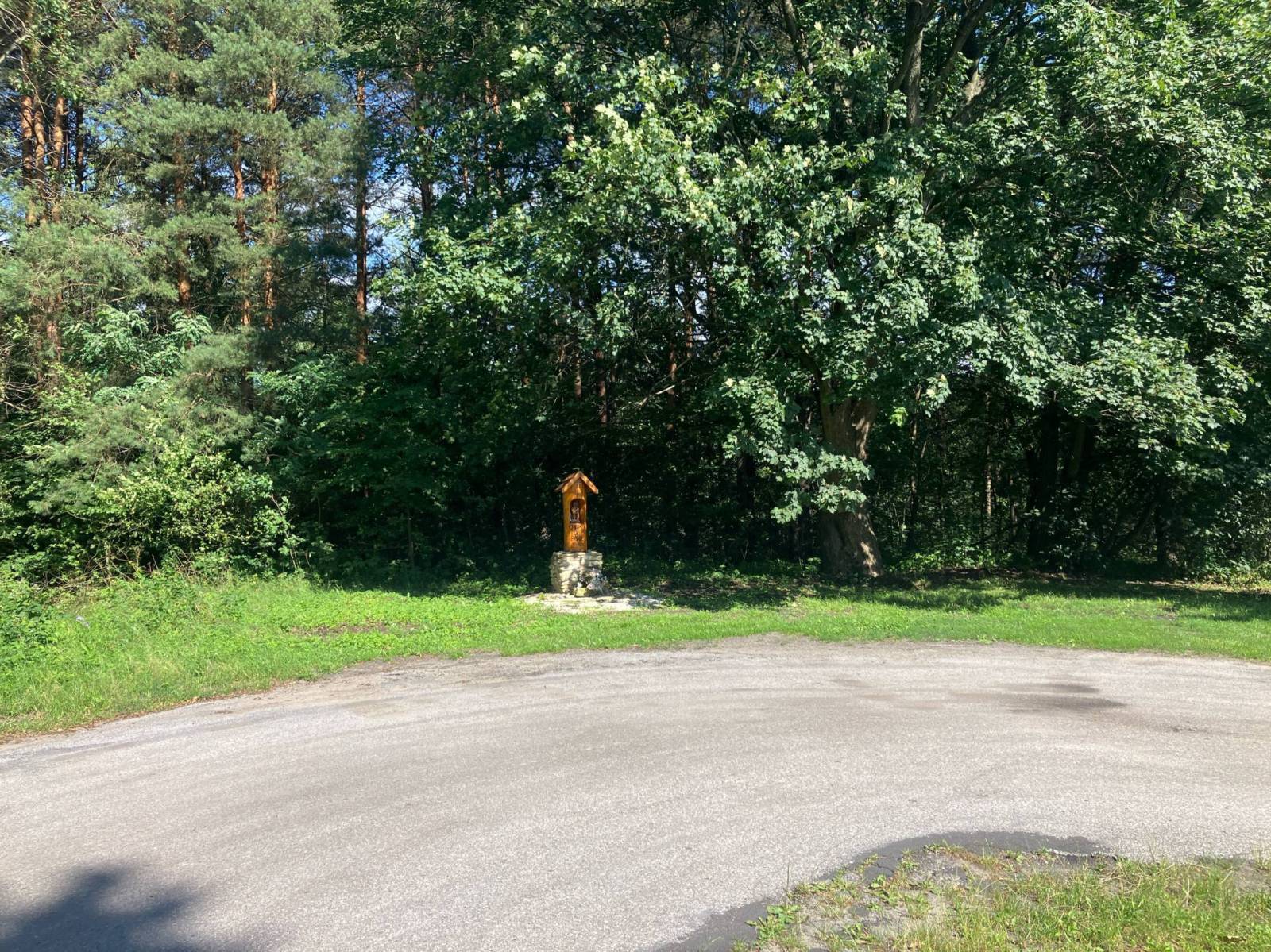 Zdjęcie 6