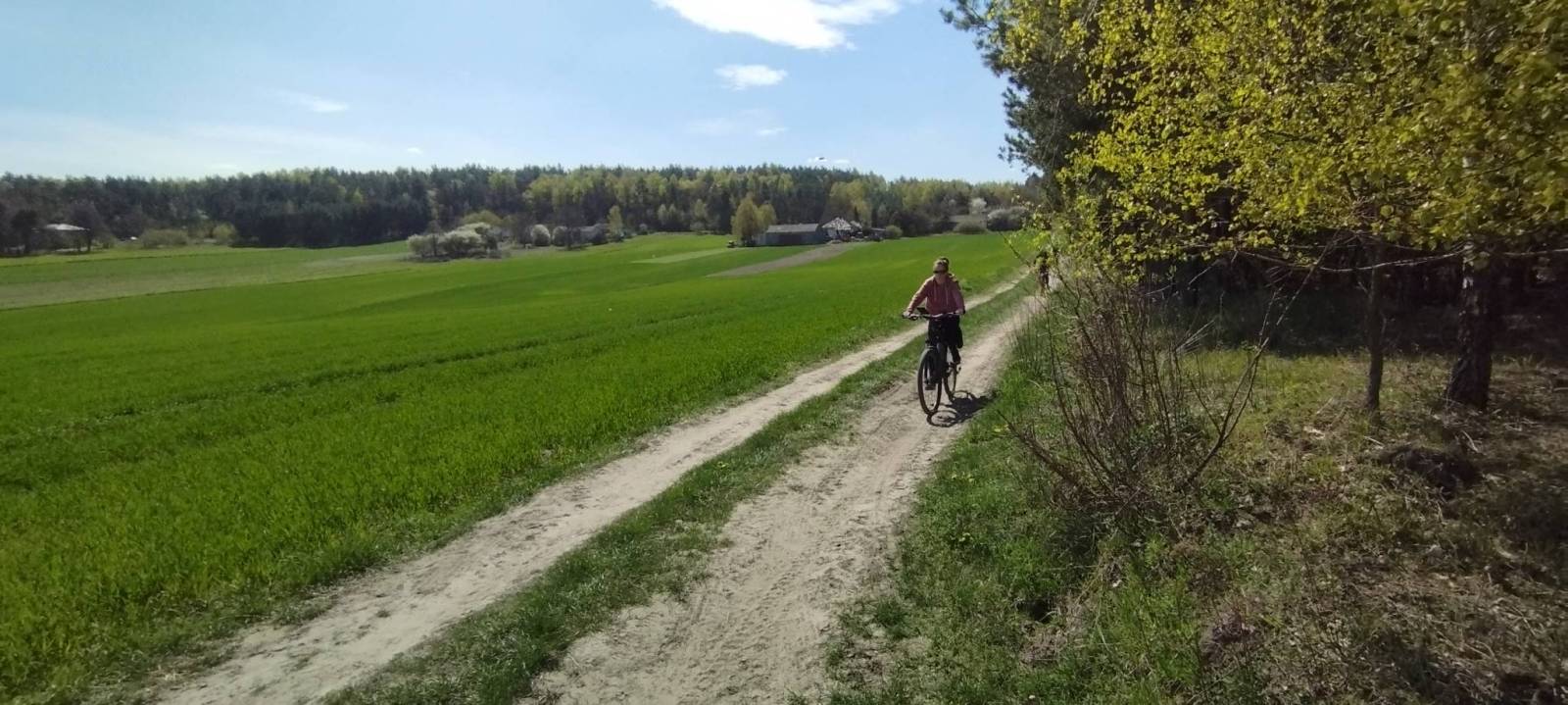 Zdjęcie 6