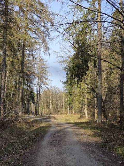 thumb-image