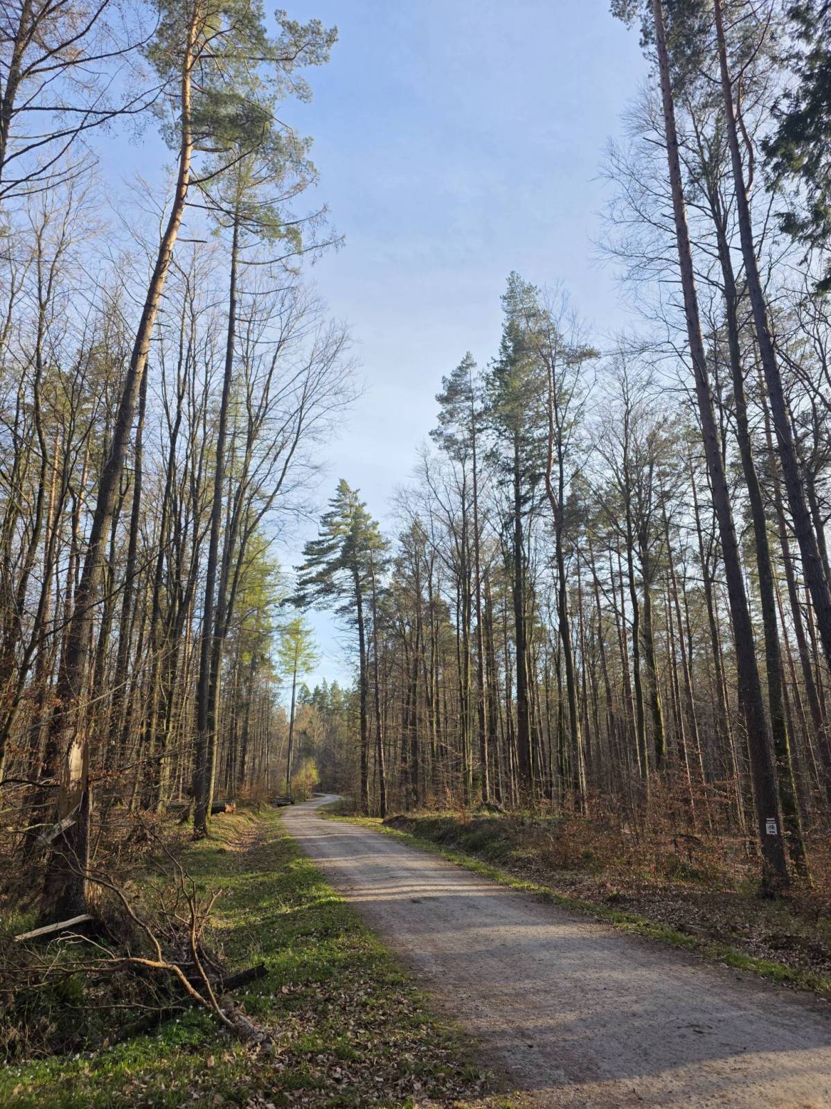 Zdjęcie 5