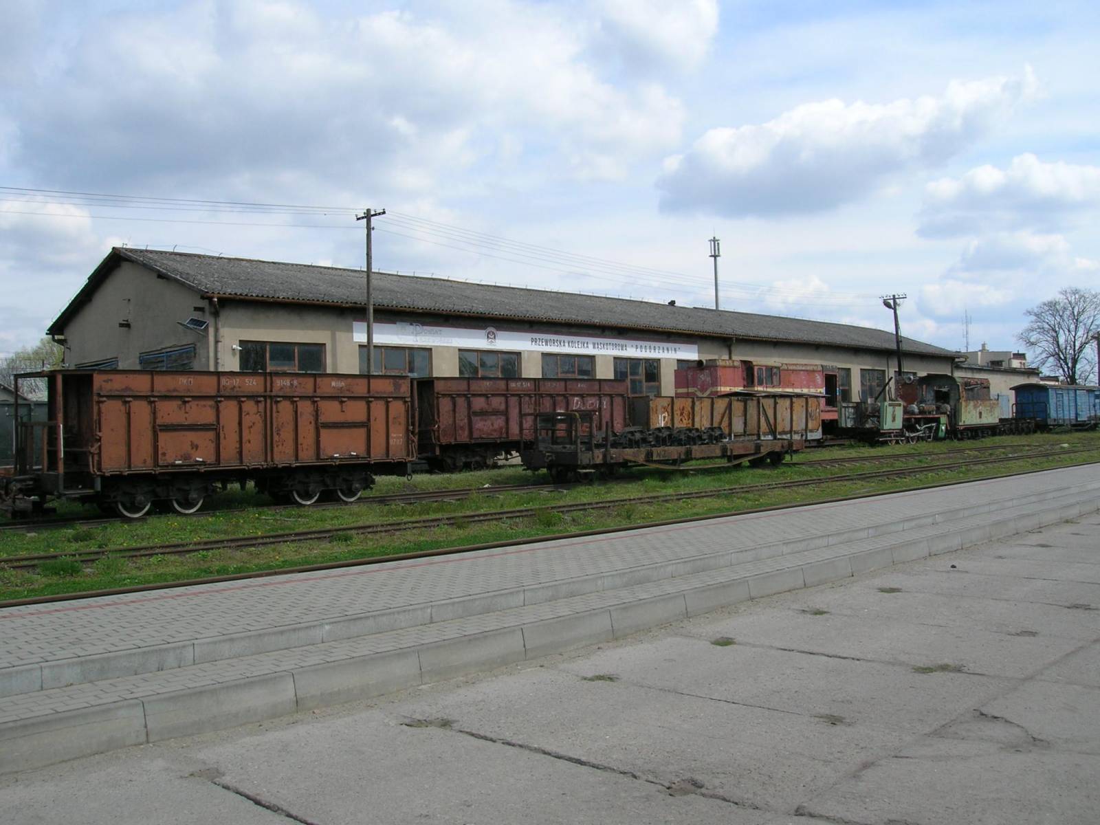 Zdjęcie 6