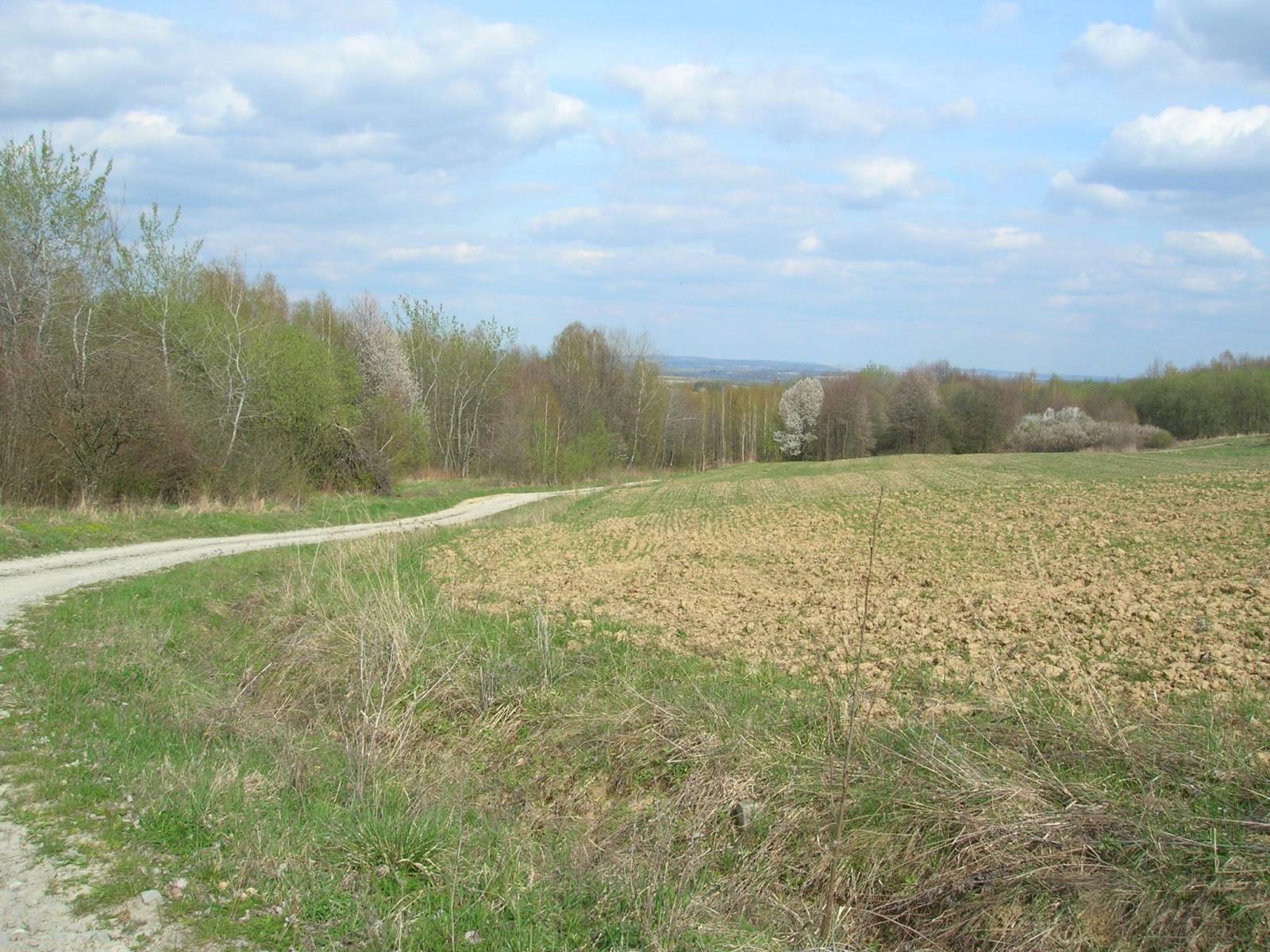 Zdjęcie 1