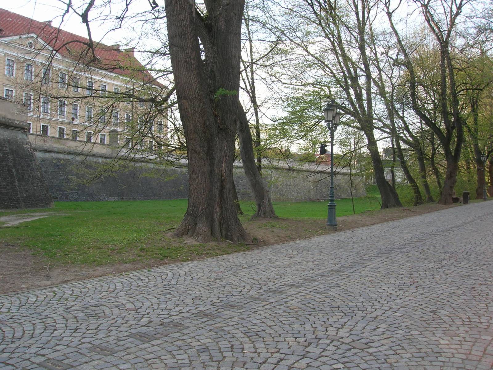 Zdjęcie 2