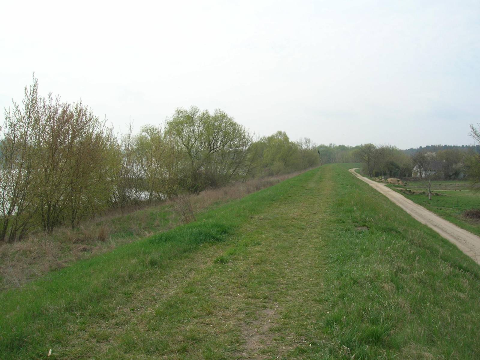 Zdjęcie 4