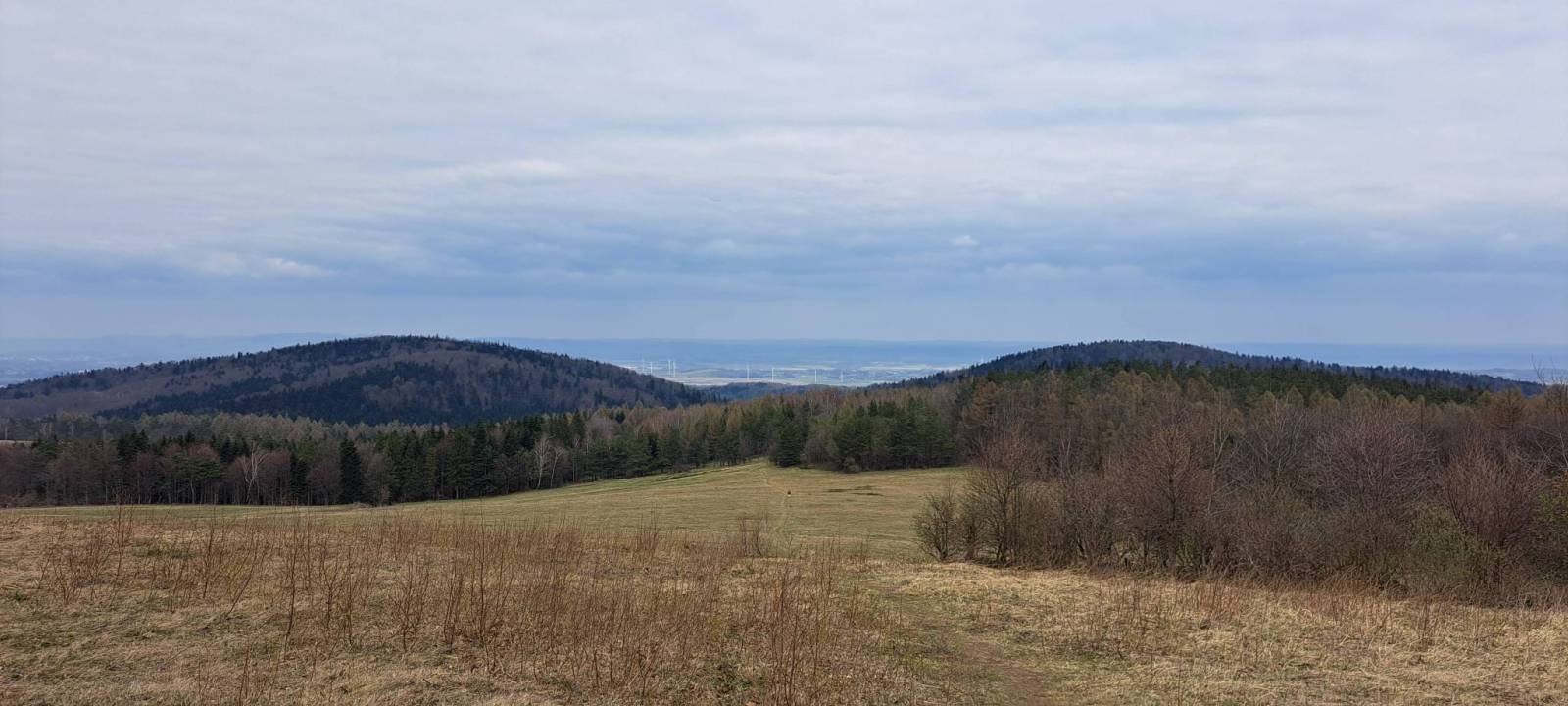 Zdjęcie 4