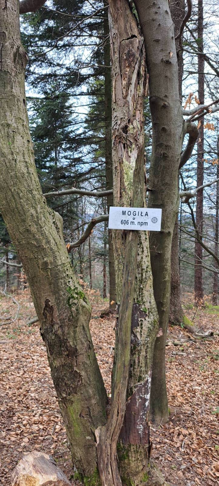 Zdjęcie 5