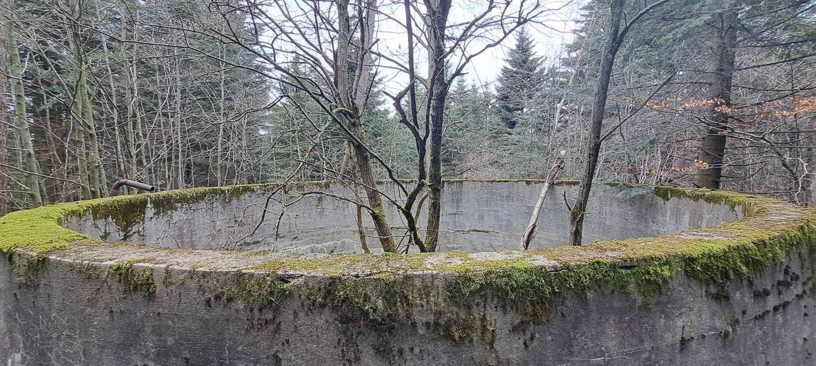 Zdjęcie 6