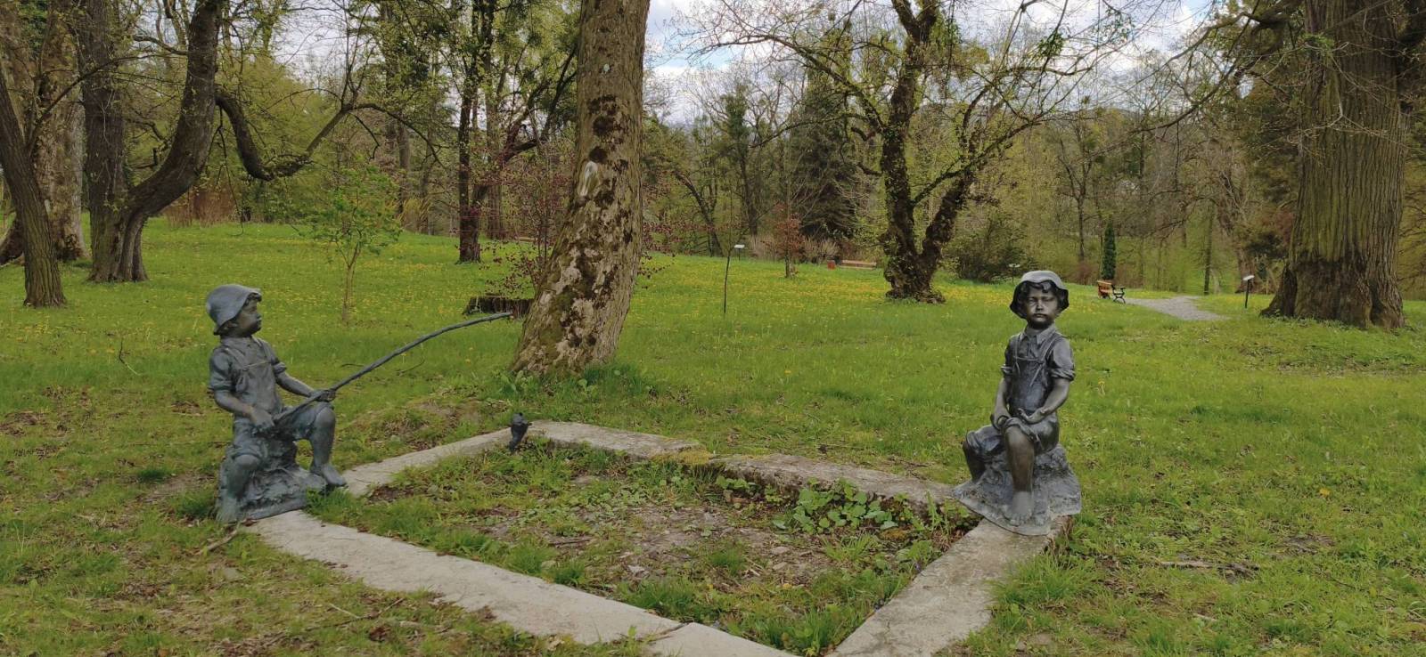 Zdjęcie 5
