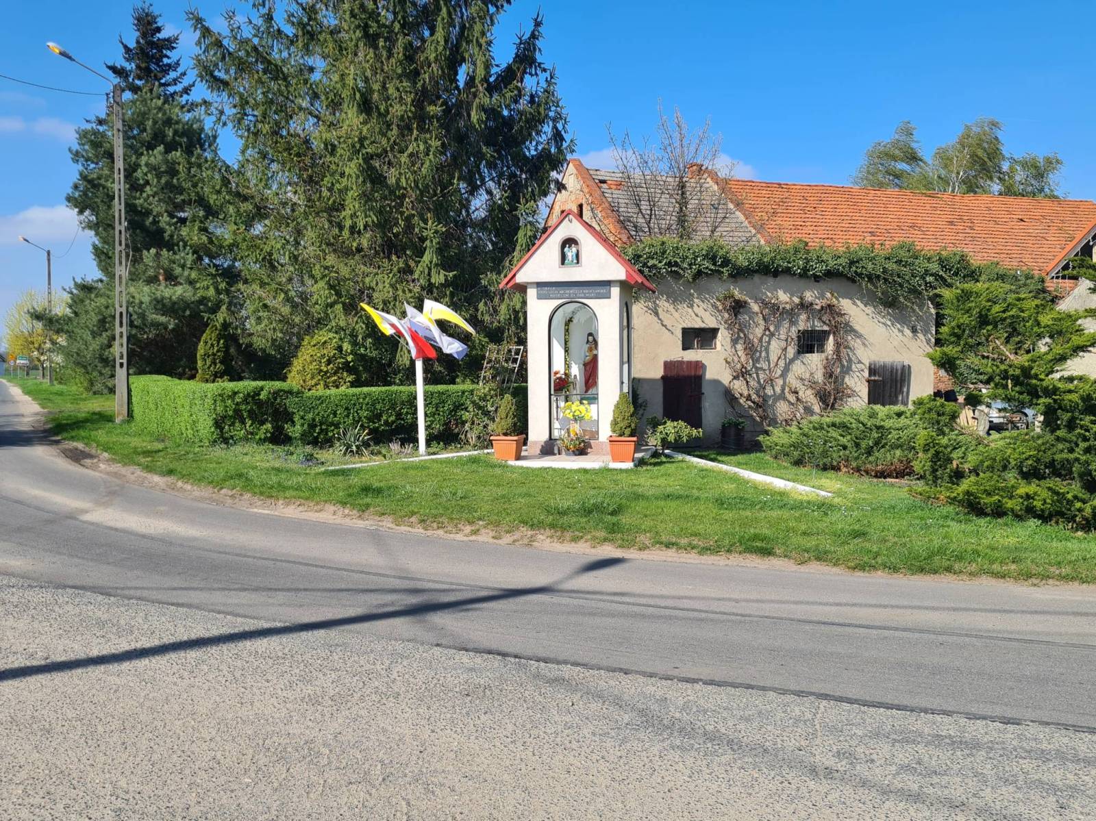 Zdjęcie 4