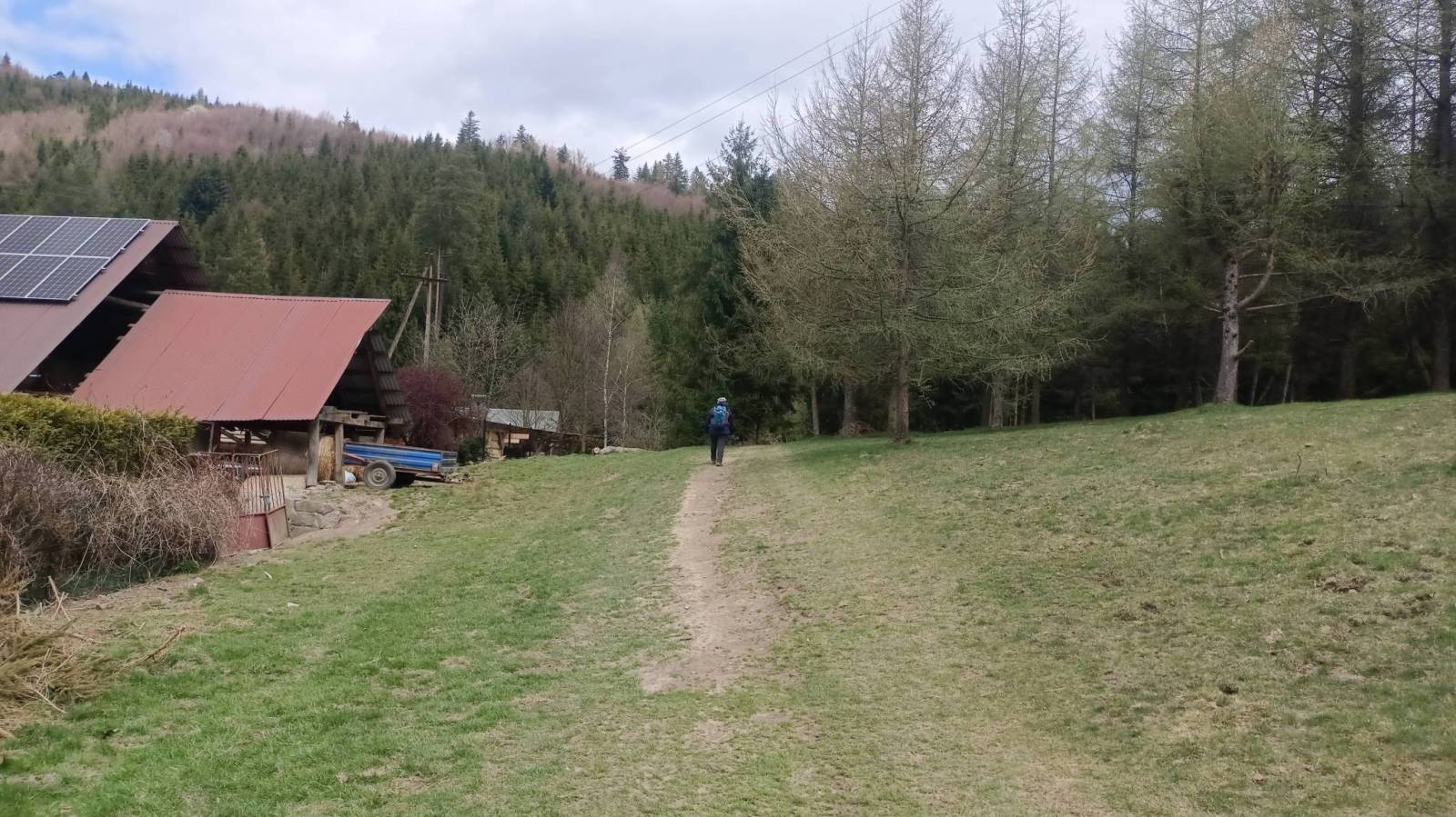 Zdjęcie 3