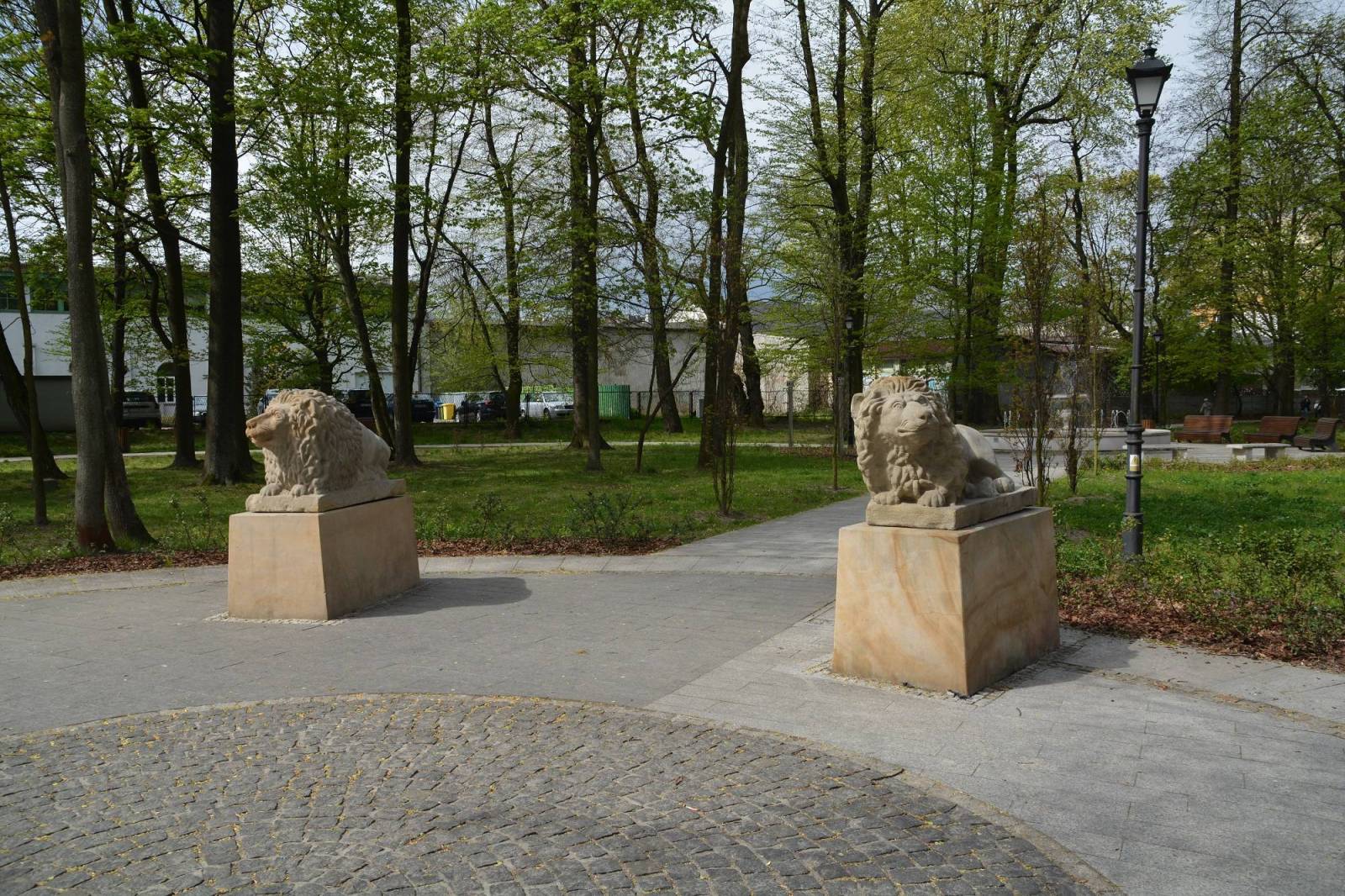 Zdjęcie 5