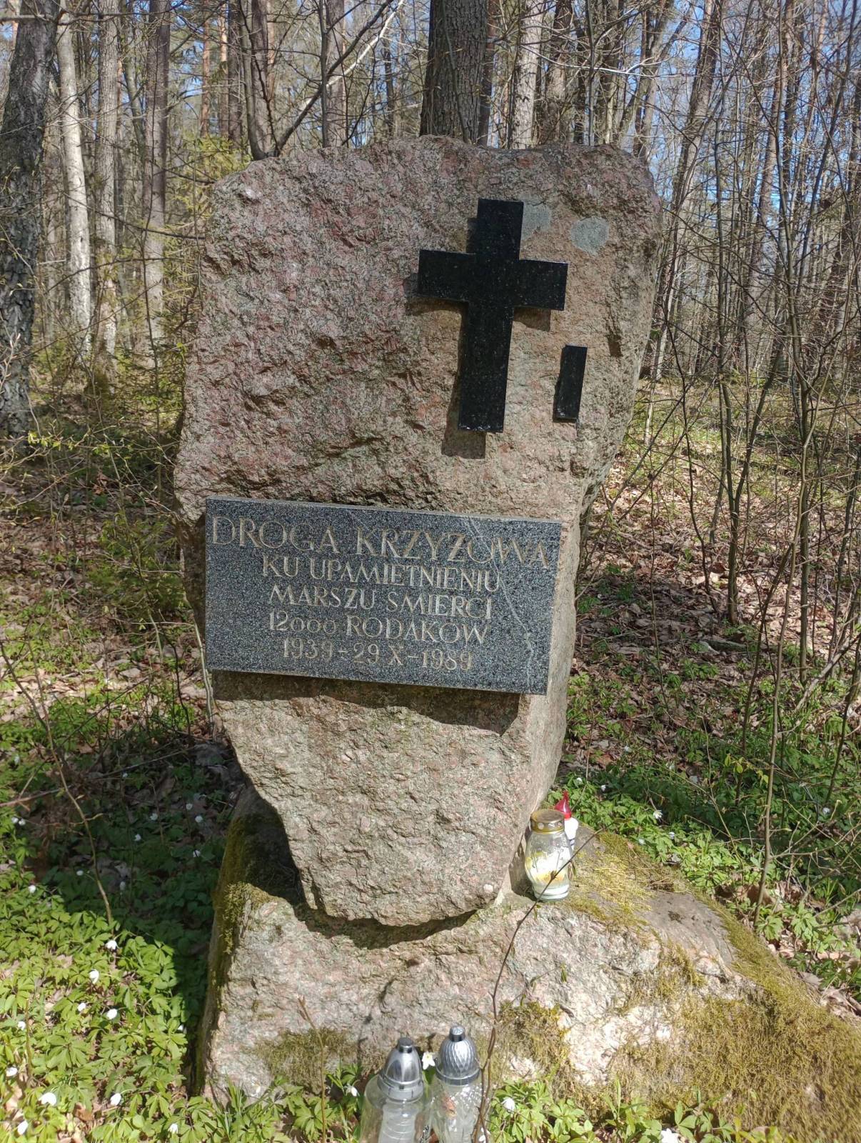 Zdjęcie 1