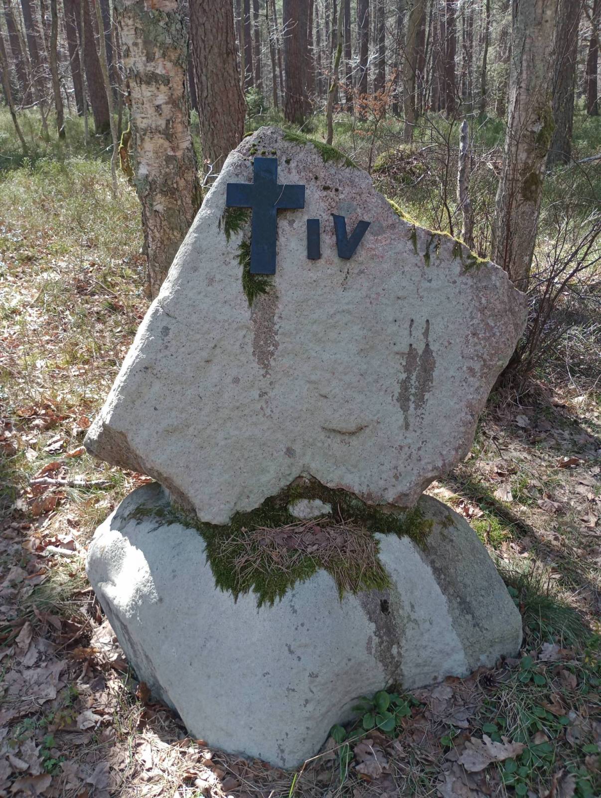 Zdjęcie 3