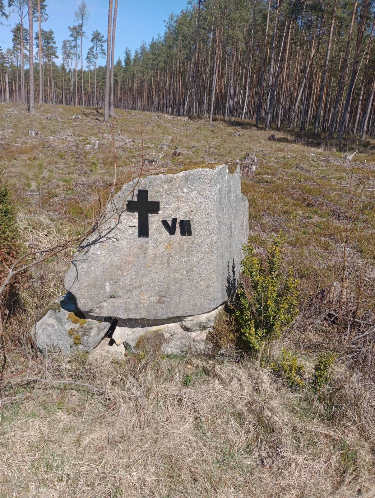 Zdjęcie 6