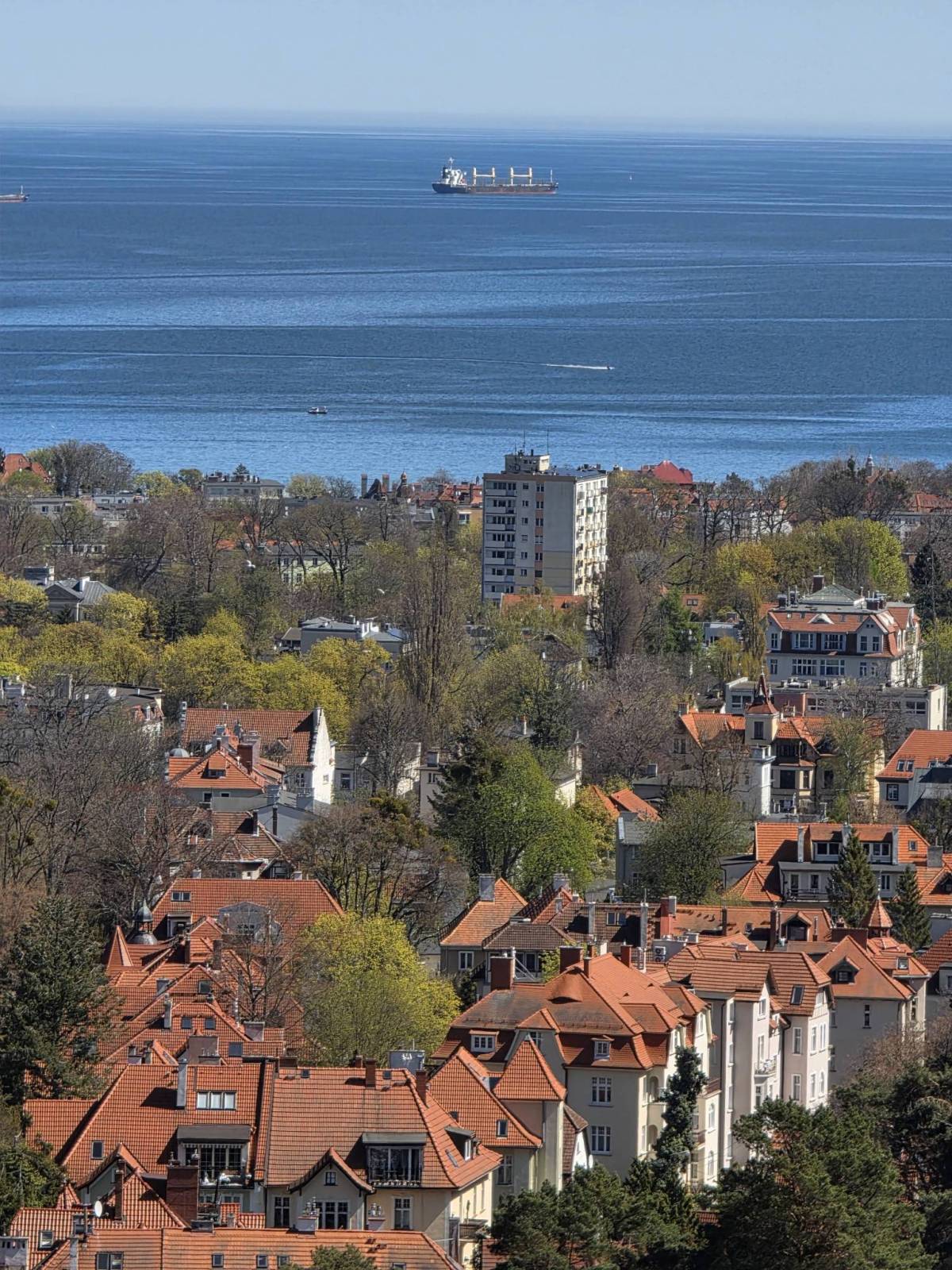 Zdjęcie 6