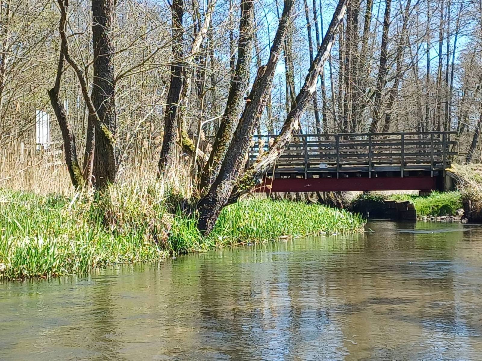Zdjęcie 3