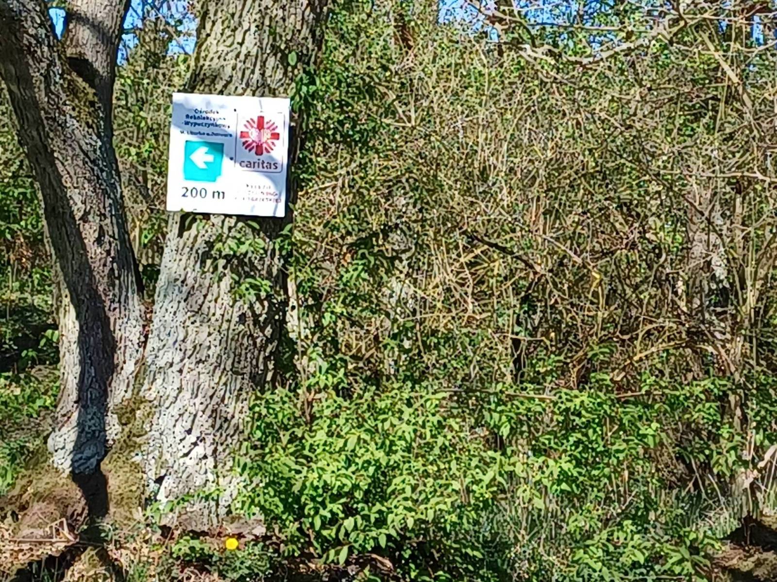 Zdjęcie 6