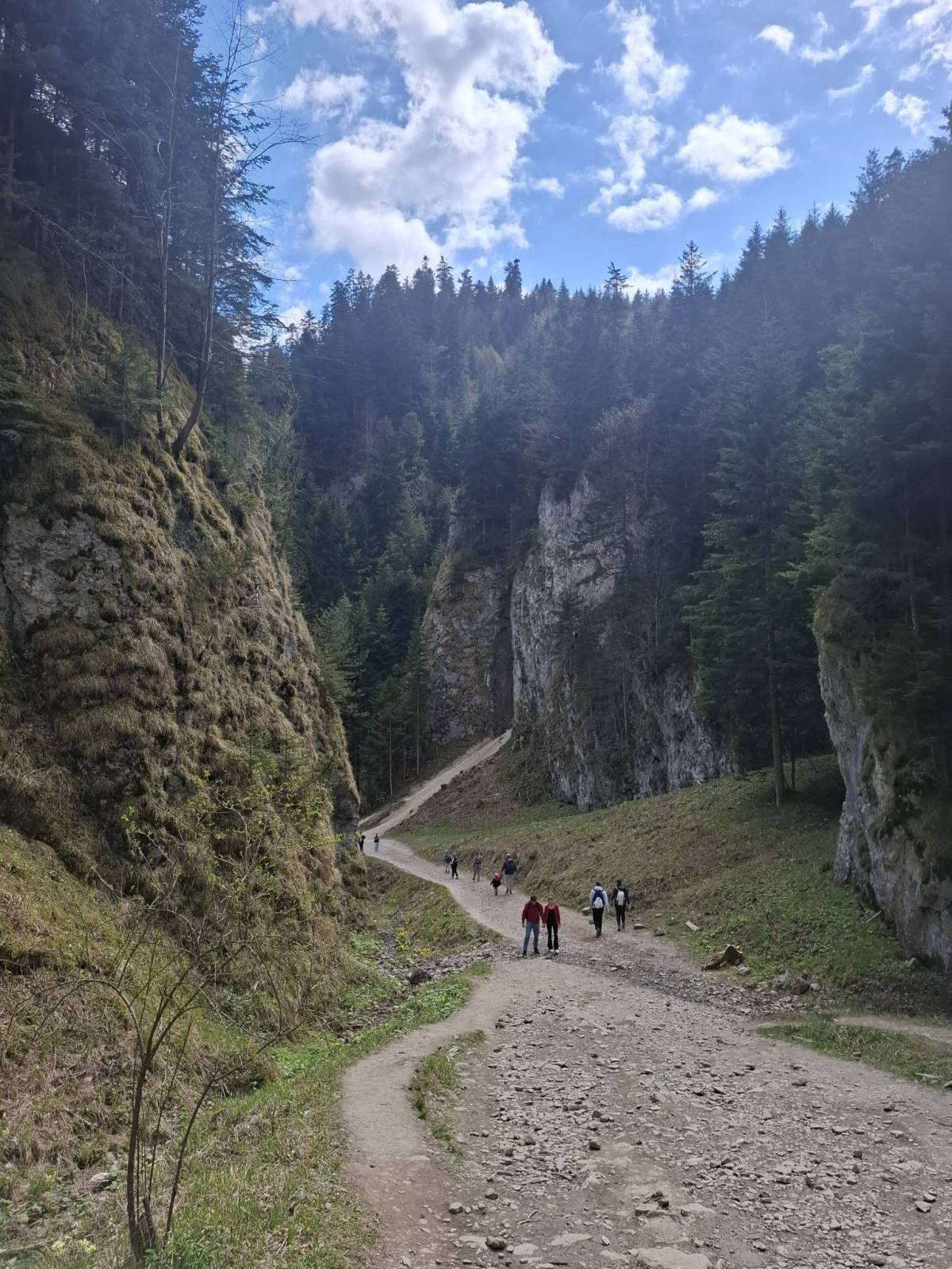 Zdjęcie 1